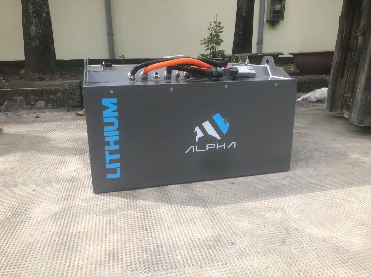 z7184718396906_5979090ce776be9e268959cc9fe74e10